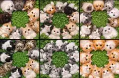 にゃんこ柄パネル