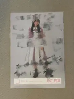 最終値下げ】櫻坂46 向井純葉 直筆サイン入り生写真 - メルカリ