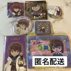 名探偵コナン　缶バッジ　まとめ売り　天文学者　プラザ　ランド　花冠　灰原哀　7点