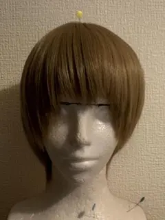 ウィッグ　コスプレ