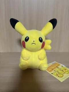 ポケモンセンター オリジナル Myピカチュウ ぬいぐるみ