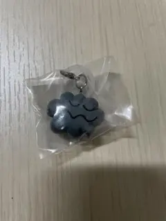 ダイスケコンドウ　めじるしアクセサリー　くも