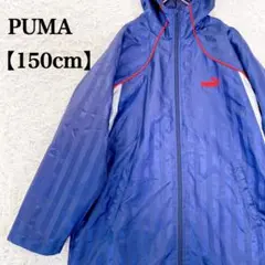 【150cm】PUMAプーマ　ネイビー ロゴ刺繍入りストライプウィンドブレーカー