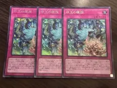 2026年最新】ドミナススパイラルの人気アイテム - メルカリ