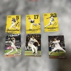 2025 カルビー プロ野球 トレーディングカードセット