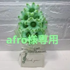 モールフラワー・枯れないブーケ（ハンドメイド）プチギフト•母の日