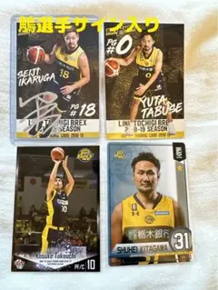 LINK栃木BREX 田臥勇太　サイン入り リバーシブルジャージ LINK栃木BREX 田臥勇太 サイン入り リバーシブルジャージ
