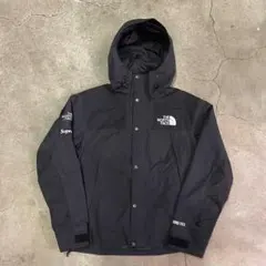 Supreme x The North Face Mountain Parkaのサムネイル