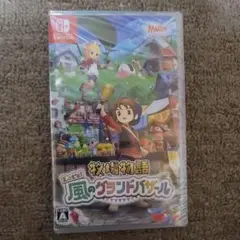 牧場物語Let's 風のグランドバザール　ソフト