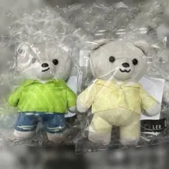 BE:FIRST クマ ぬいぐるみ 2体セット