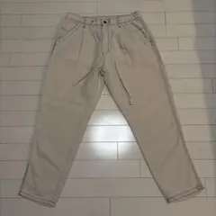 Dickies ディッキーズ ヘビーツイルペインターパンツ