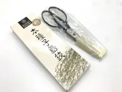 Item thumbnail for item 8d83bd7a-382b-4e37-9eff-00d8fa453cde