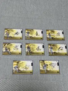 阪神タイガース直筆サインカード8枚セット