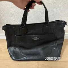 Item thumbnail for item 8edcac1d-36aa-4cff-9ece-c23dfc4ae74c