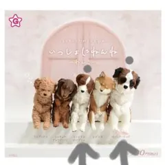 いっしょにねんね 〜わんこ〜 コーイケルホンディエ+セントバーナード セット