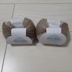 Aurora Wool ベージュ系毛糸 25g　２玉　No.10