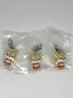 JOCHUM めじるしアクセサリー2 まめちぃ　3個セット