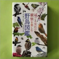 2025年最新】野鳥本の人気アイテム - メルカリ