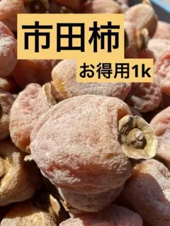 市田柿 下伊那特産 生産者直送　お得用1キロ