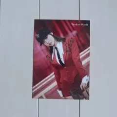 twice Perfect World ラントレ　モモ