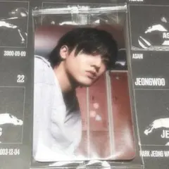 TREASURE シーグリ 2025 特典 トレカ ハルト