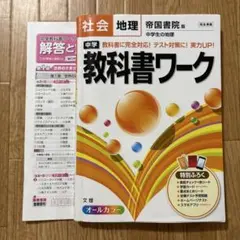 tomochi様 リクエスト 2点 まとめ商品