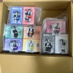 SnowMan　すのチルソフビ　9種セット　&クリアステッカー　9種セット