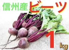 【信州産ビーツ】1kg 【有機肥料使用・化学農薬不使用】のサムネイル