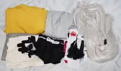 刀剣乱舞 小狐丸 通常衣装 ウィッグ付き コスプレ 中古品のサムネイル