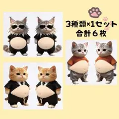 Item thumbnail for item b6571c92-e6f6-4563-bed8-906ca0b52ea1