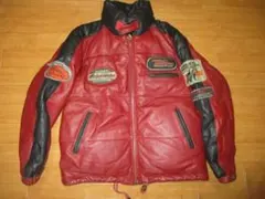 2025年最新】Harley-Davidson 素材(詰め物)：ダウン ダウンジャケット