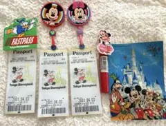 レトロ✨ディズニーランド　チケットホルダー　ポストカード