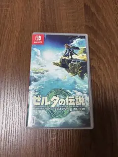 [ジャンク品]ゼルダの伝説 TEARS of the KINGDOM