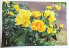 Item thumbnail for item 044b68ac-f5d3-4432-997a-8fb8b3928e66