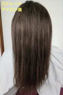 T様専用です。 人毛　ロング　ストレート　ウィッグ 　ブラウン　レースフロント
