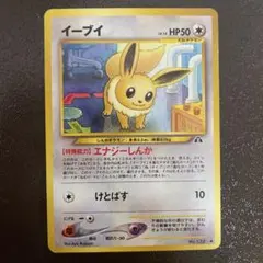 ポケモンカード 海外 マクドナルド フシギダネ ホロ 25周年 プロモ