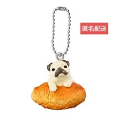 いぬぱんリターンズ　パグ×カレーパン