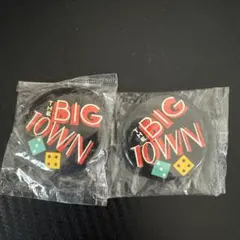 Item thumbnail for item 019fd37b-04f4-4fd8-bac6-c4af6dc61ac3