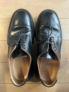 Item thumbnail for item e1bf4114-f317-4d49-baae-fd0b5926215d