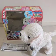 美品】音声認識機能付き さかだちラッキー セガトイズ - メルカリ