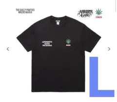 Item thumbnail for item 4ad57ed4-420e-4d32-abbb-33bb39b4bb3e