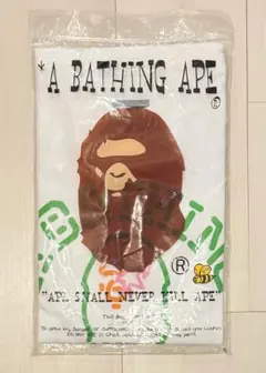 超希少・非売品】A BATHING APE メンズノンノ懸賞当選品 Tシャツ 