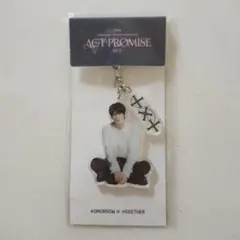 txt ACT: PROMISE アクリルキーホルダー スビン