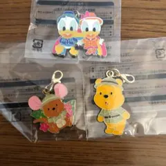 ディズニーランド　チャーム　3個