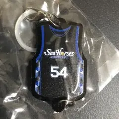 新品 非売品 Bリーグ シーホース三河 ダバンテ・ガードナー アンブレラマーカー