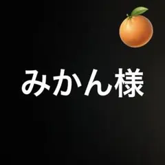 みかん様　多肉セット　❷