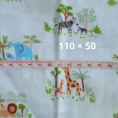 Item thumbnail for item 1e2f6d54-b1d8-4862-9dec-2c97140a5d81