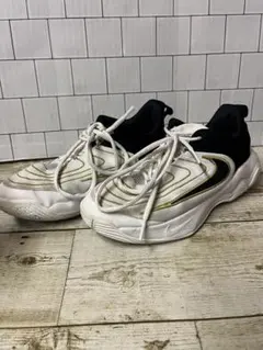 Nike★ヤニス★バッシュ★22.5cm★中敷なしのサムネイル