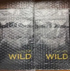 Item thumbnail for item 0ac2c3ca-17e2-47a8-996f-295d034f73f0