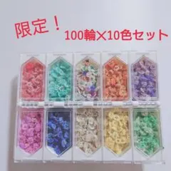 限定！　100輪✕10色セット　カスミソウ ドライフラワー かすみ草